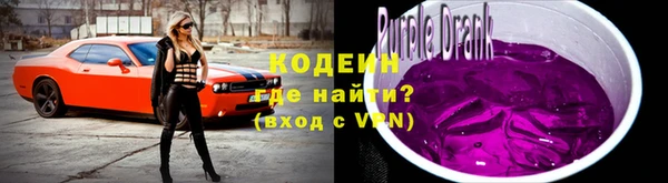 метадон Гусь-Хрустальный